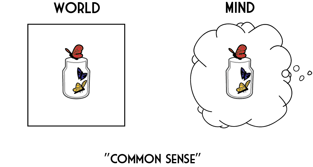mind vs world: common sense