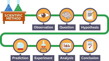 An image of the scientific method according to common teaching materials