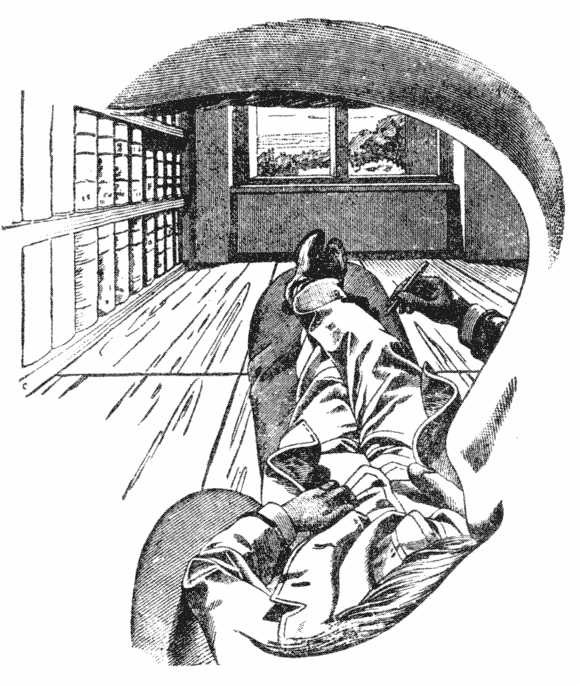 Ernst Mach, 'View from the left eye'