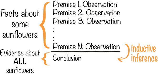 induction reasoning