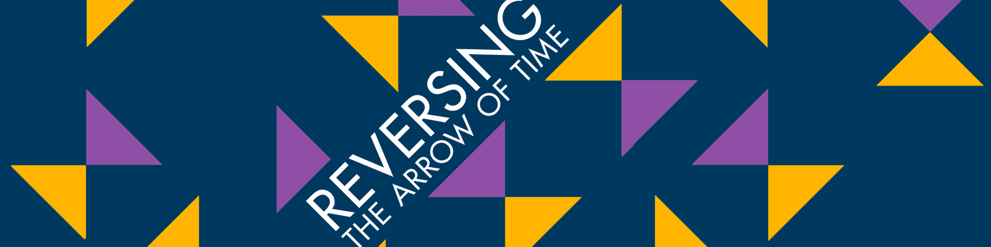 Reversing the Arrow of Time book cover