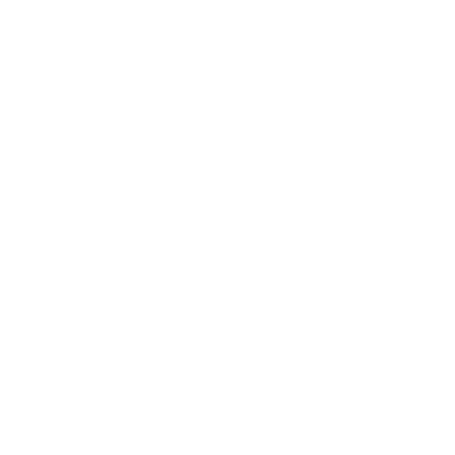 LSE logo